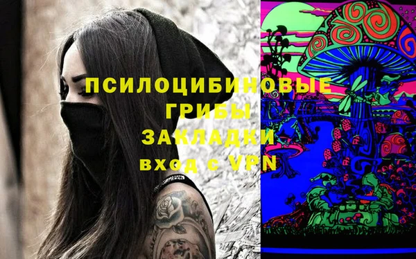 a pvp Медногорск